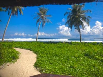 Hotel Southern Mentawai Outpost Sibigau Island Zewnętrze zdjęcie